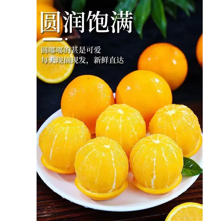 【正宗】湖南麻阳冰糖橙[九甜一酸】