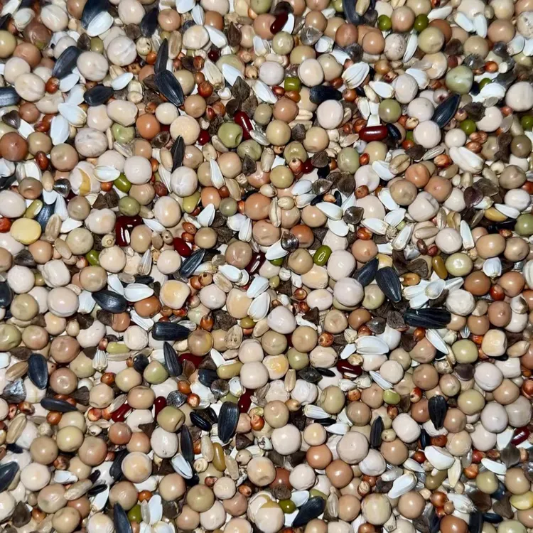 五谷杂粮开创04粮40斤装元宝圆环赛鸽信鸽幼鸽粮干净新鲜高蛋白