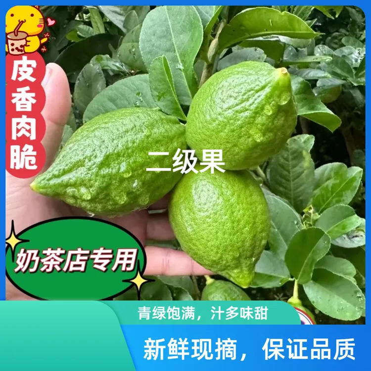 二级果正宗广东香水柠檬商用浓香型青柠檬新鲜精选现摘