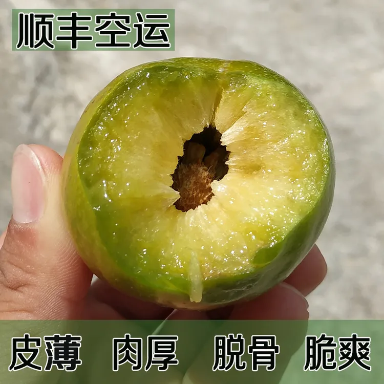 重庆巫溪晚李脱骨脆李农家果园现采现发顺丰包邮