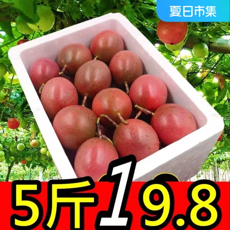 云南高山百香果5斤3斤2斤新鲜水果应季水果特大果紫皮百香果酸甜