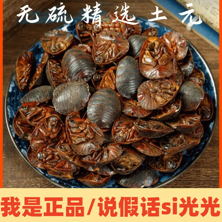 土元中药材非野生大个土鳖虫特级野生接骨土元土鳖地鳖虫精选