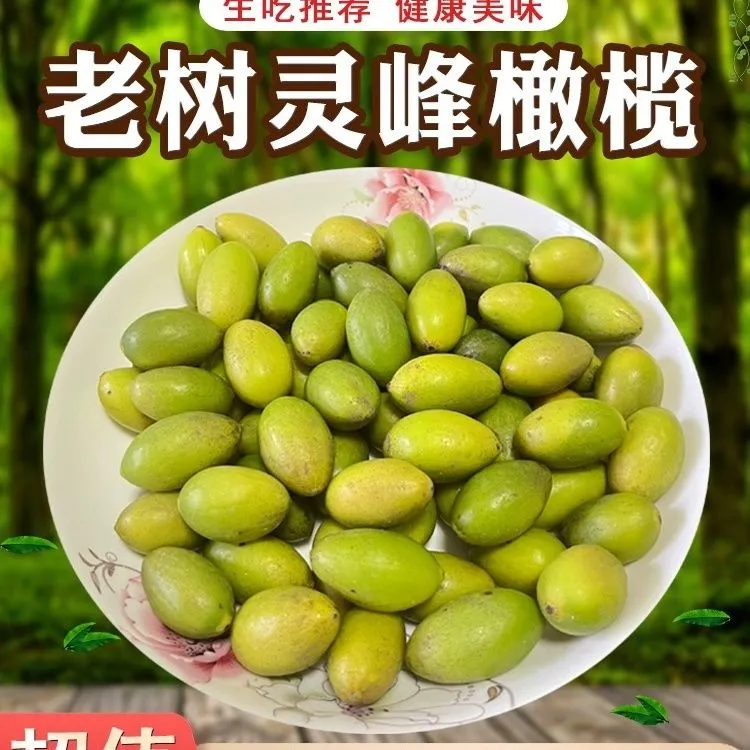 潮汕金灶灵峰青橄榄生吃现摘送礼新鲜橄榄脆香无渣回甘水果
