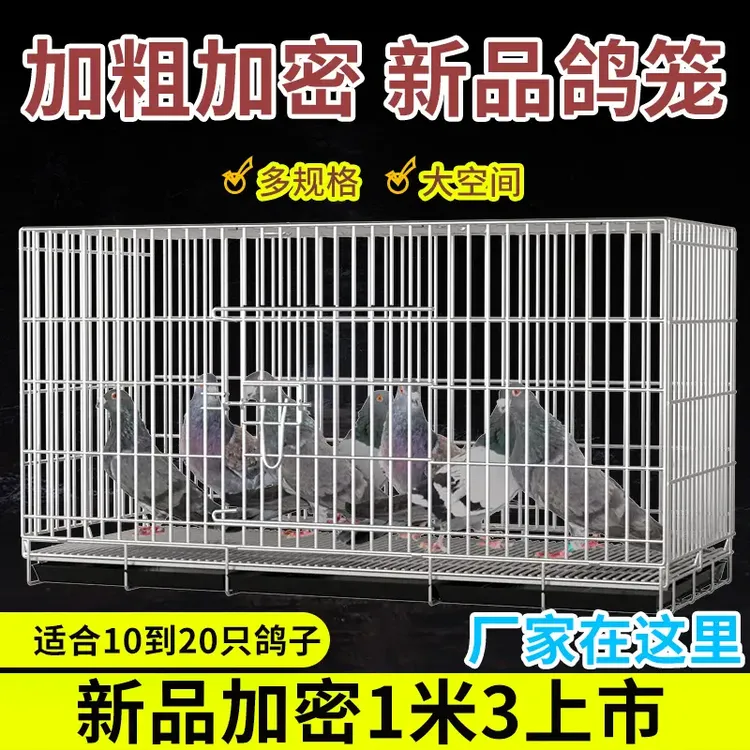 鸽子笼养殖笼大室外鸽舍家用鸽棚放飞笼训放笼网加粗加密大型.