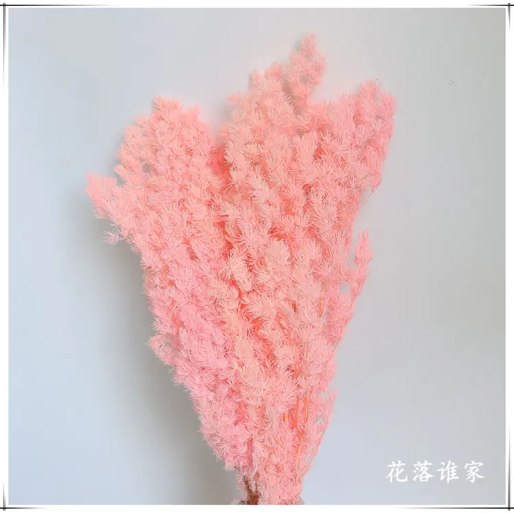 【花落谁家】品质室内永生花插花花材七夕手工diy材料厂家批发