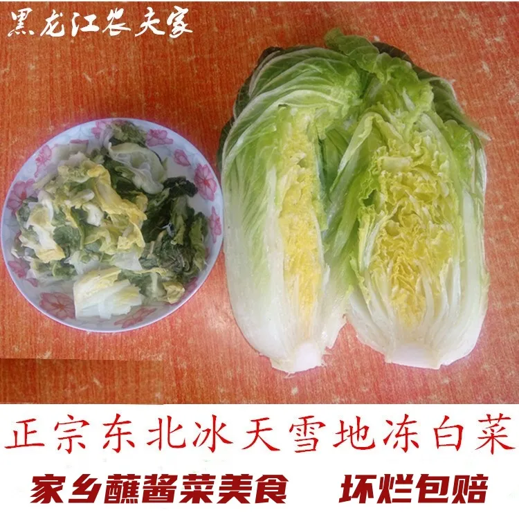 东北冻白菜黑龙江冰天雪地里自然冻菜大白菜趴了颗子新鲜蘸酱菜