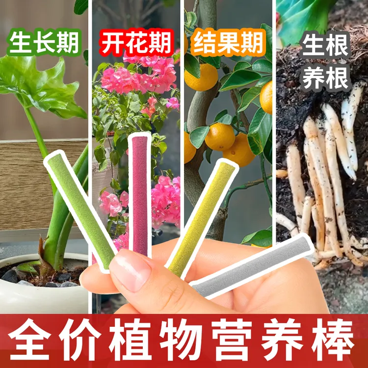 均衡缓释营养棒控释肥家庭园艺通用肥多肉盆栽绿植花卉发财树肥料