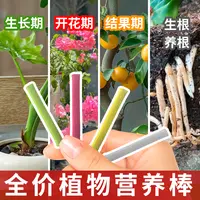 均衡缓释营养棒控释肥家庭园艺通用肥多肉盆栽绿植花卉发财树肥料