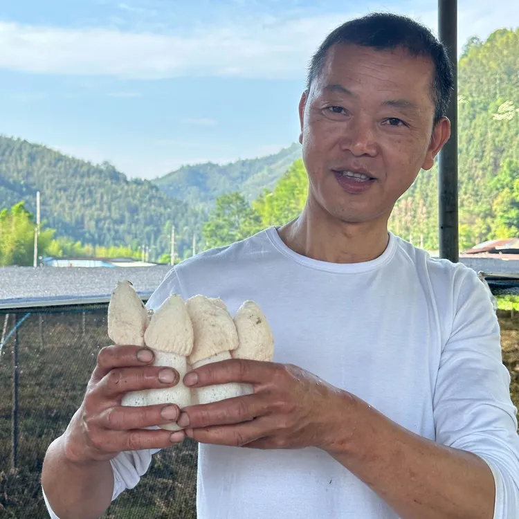竹荪生态天然食用脆嫩 精选干货 无硫自然烘干农家竹荪