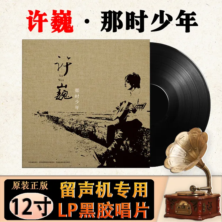 许巍经典歌曲精选民谣 曾经的你 12寸留声机专用LP黑胶唱片