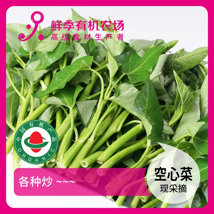 鲜季全自产 有机空心菜 300克 鲜采摘/空运
