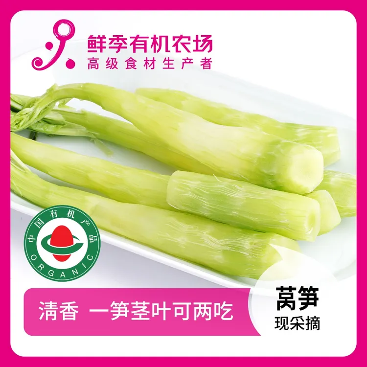 鲜季全自产 有机莴笋500克 现采摘/无保鲜剂
