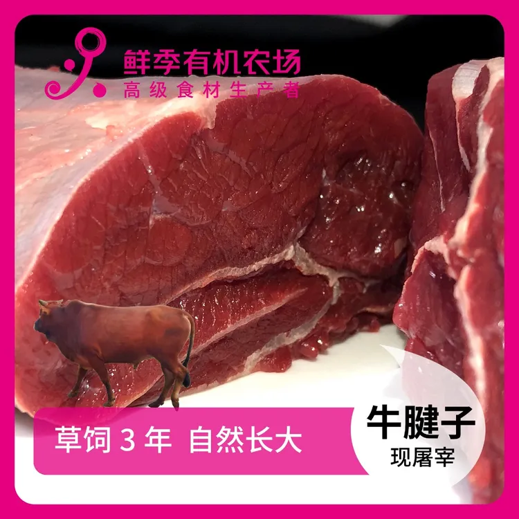 鲜季全自产 鲜牛腱子500克鲜屠宰/空运/草饲3年以上