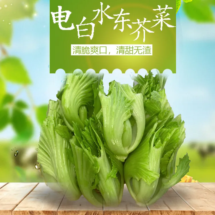 水东芥菜芥菜心生鲜食用农产品芥菜包心精品芥菜疙瘩芥菜500g