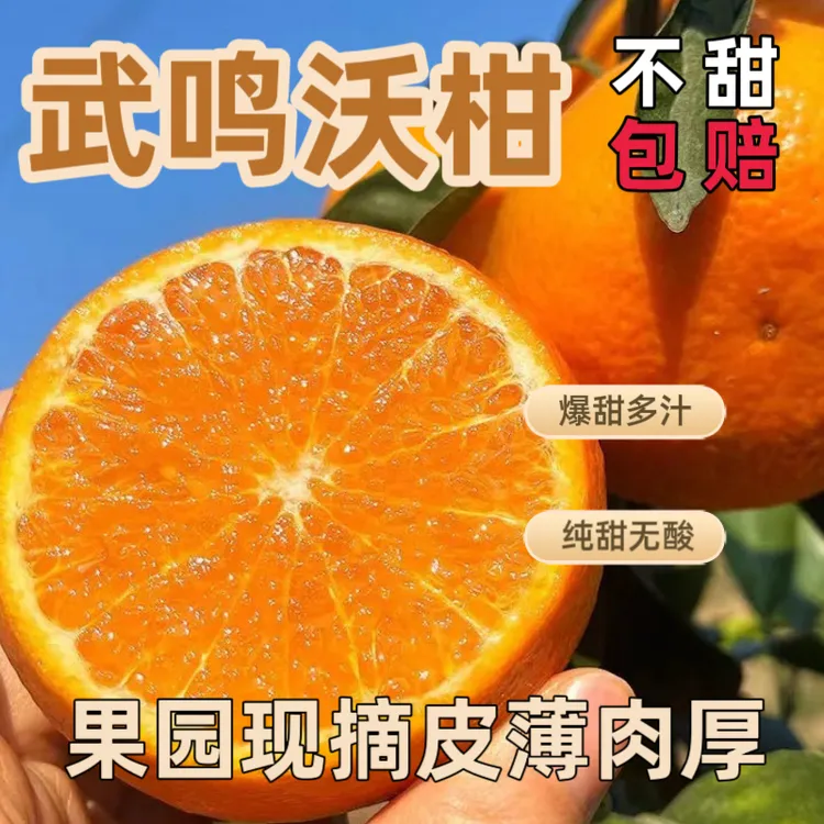 【武鸣沃柑】A级头茬新鲜现摘 应季水果 香甜爆汁 纯甜无酸 总链接