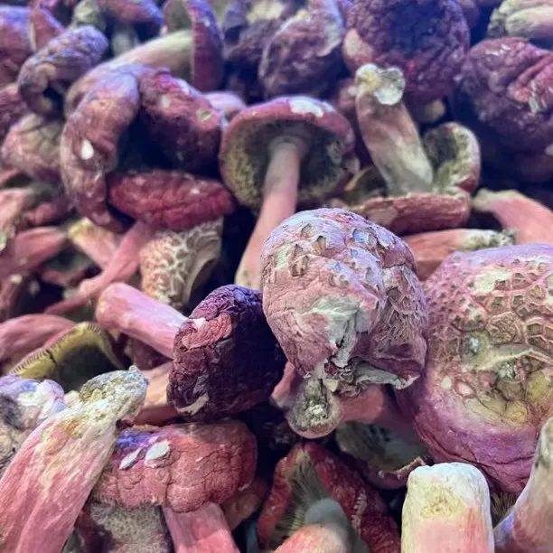 【爬爬姐臻选】广西浪水野生菇丁红菇干货250g