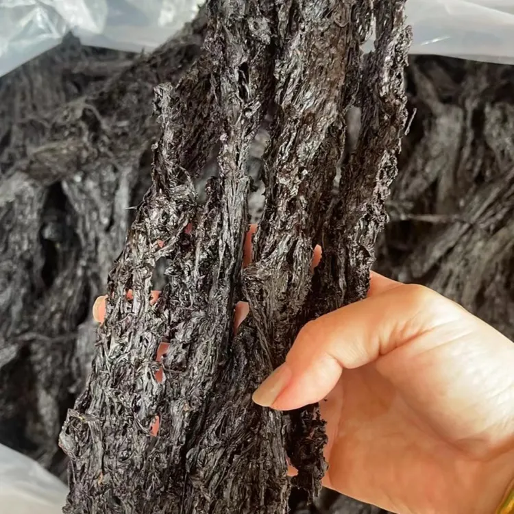 【爬爬姐臻选】福建紫菜  500克一包