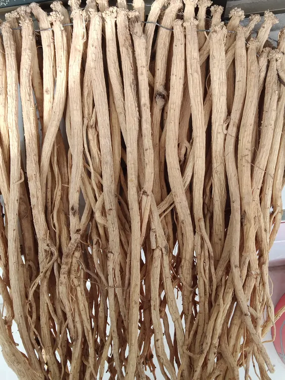 甘肃岷县农家自己种植大条党参250-500克