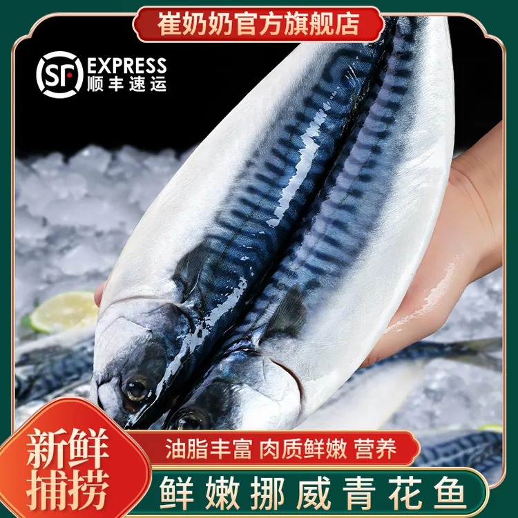 【直播福利】青花鱼免洗冷冻发货半成品青花鱼鲜香美味油脂丰富多条