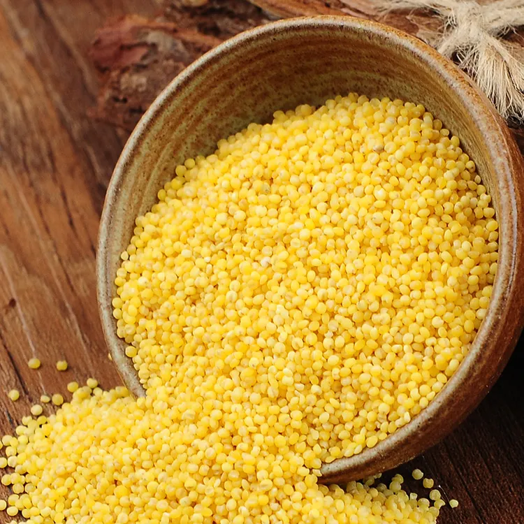 沐谷东北黄小米1kg农家小黄米五谷杂粮粗粮小米粥米朝阳小米