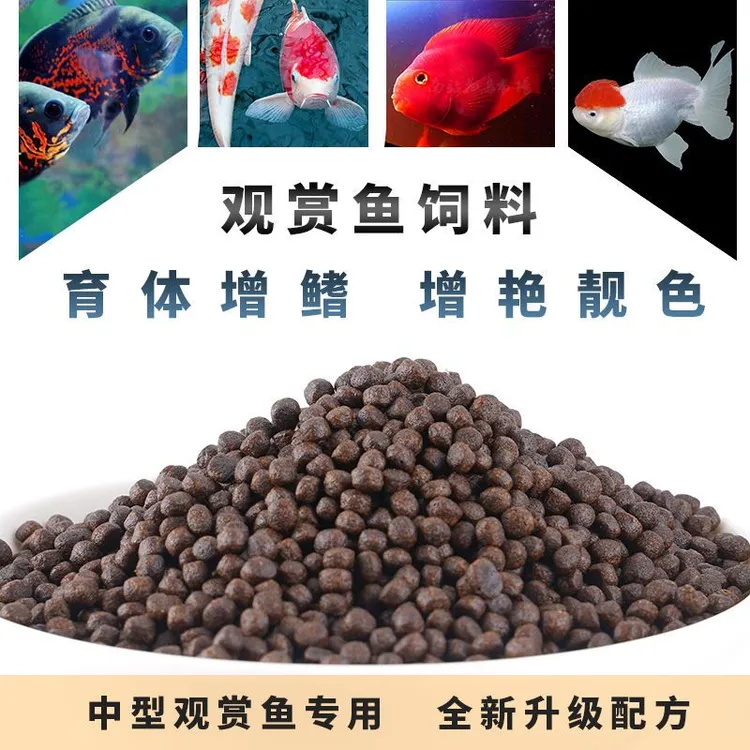 锦鲤观赏鱼专用上浮增艳育成增体饲料（一斤装）