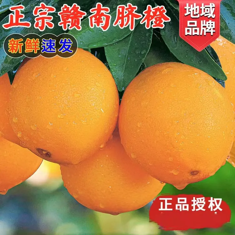 【嘟嘟霞专场】江西赣南脐橙新鲜香甜多汁安远原产地现摘现发带叶