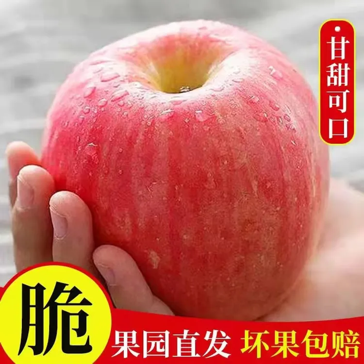 坏果包赔栖霞苹果山东烟台红富士苹果新鲜丑苹果脆甜80-85中大果