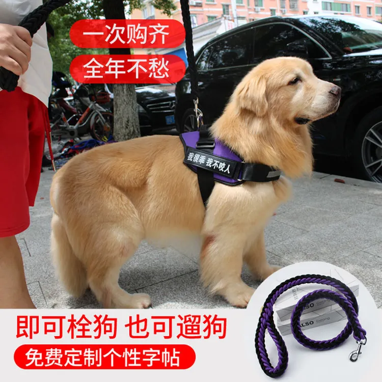 K9狗狗胸背带遛狗牵引绳金毛拉布拉多萨摩阿拉斯加中大型犬狗链子