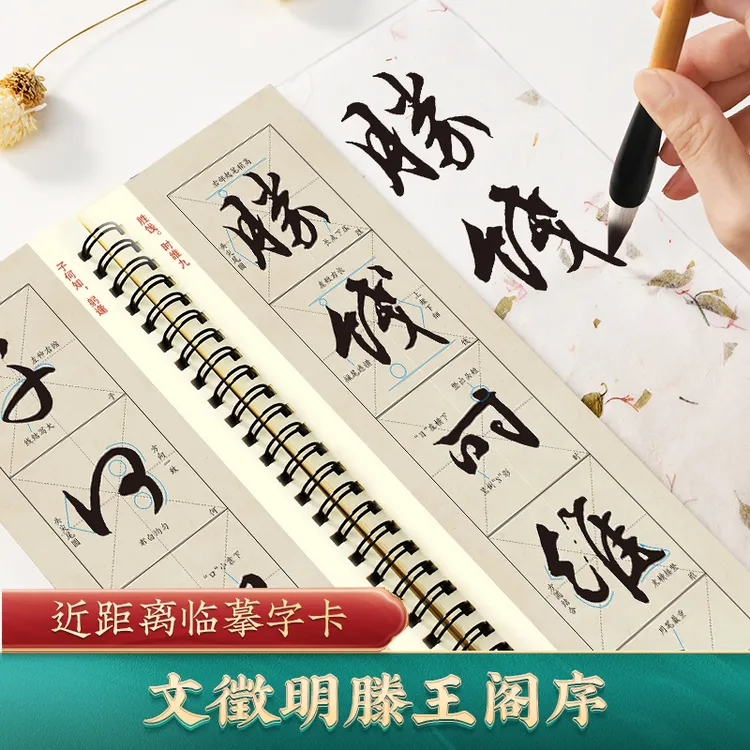 文徵明滕王阁序近距离临摹字卡米字格入门放大版行书毛笔书法字帖