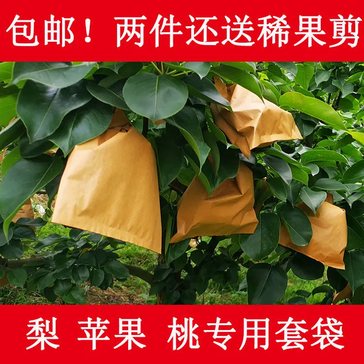 水果套袋梨袋桃子果园育果袋苹果耐用防鸟果树专用农资防水纸袋子
