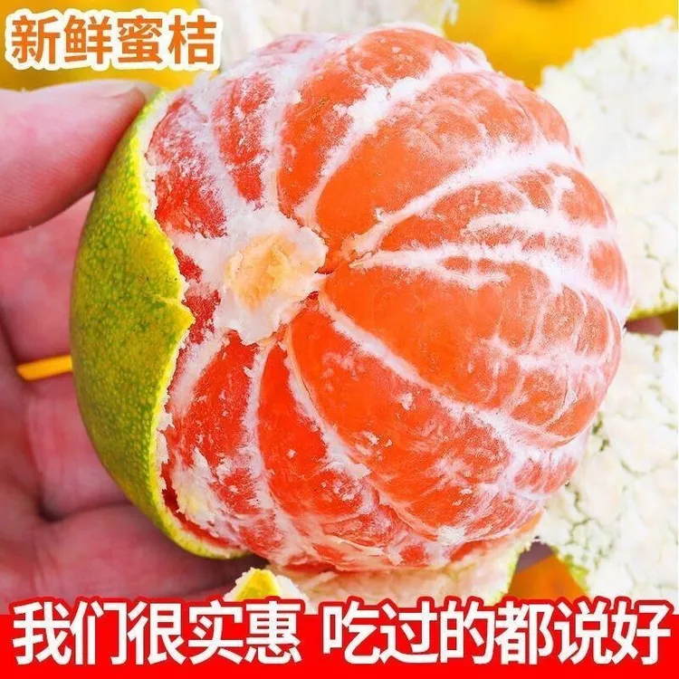新鲜蜜桔现摘现发薄皮蜜桔子无籽孕妇水果一整箱1斤5斤9斤