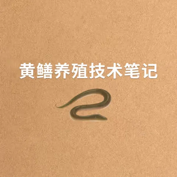 黄鳝养殖笔记（黄鳝养殖学习专用）