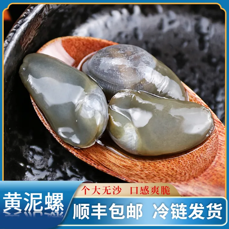 舟山泥螺皇醉泥螺280g/罐即食罐装宁波生腌泥螺特大号原味