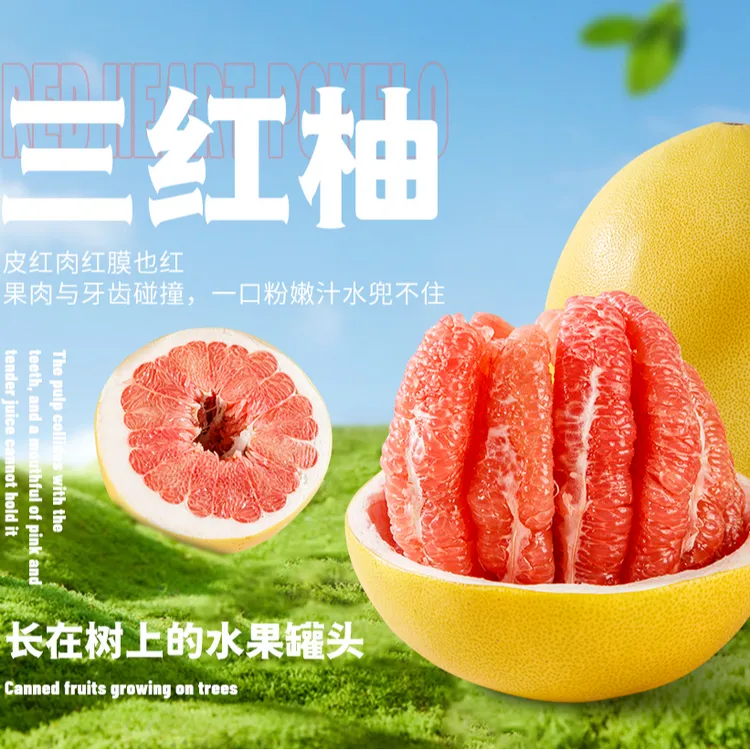 【正宗福建平和三红蜜柚】新鲜采摘产地果园直发肉厚 颗粒饱满