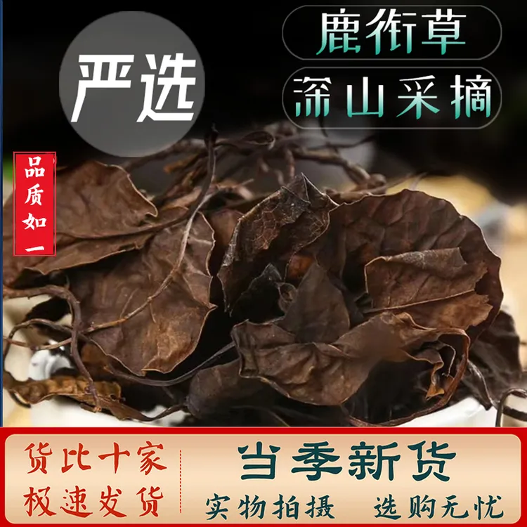 鹿蹄草中药材  鹿衔草 鹿含草 鹿寿草 泡水