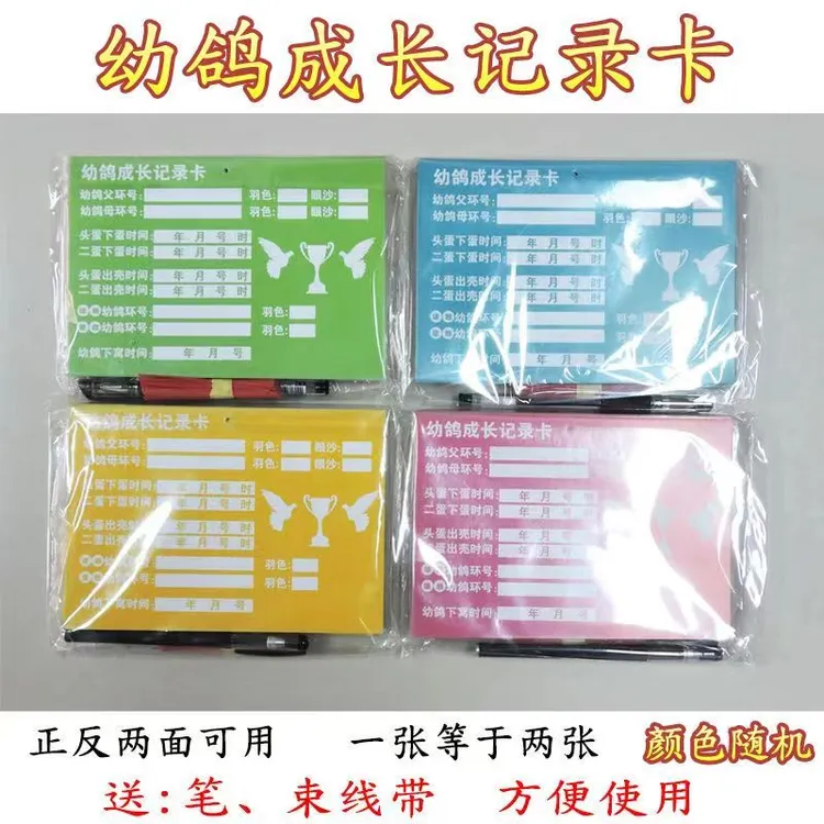 幼鸽成长记录卡 记录各种鸽子血统 直系幼鸽记录卡