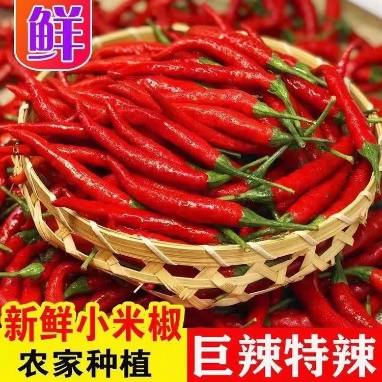 新鲜小米辣椒巨辣小米椒剁酱特辣朝天椒红小尖椒艳红批发1-5斤