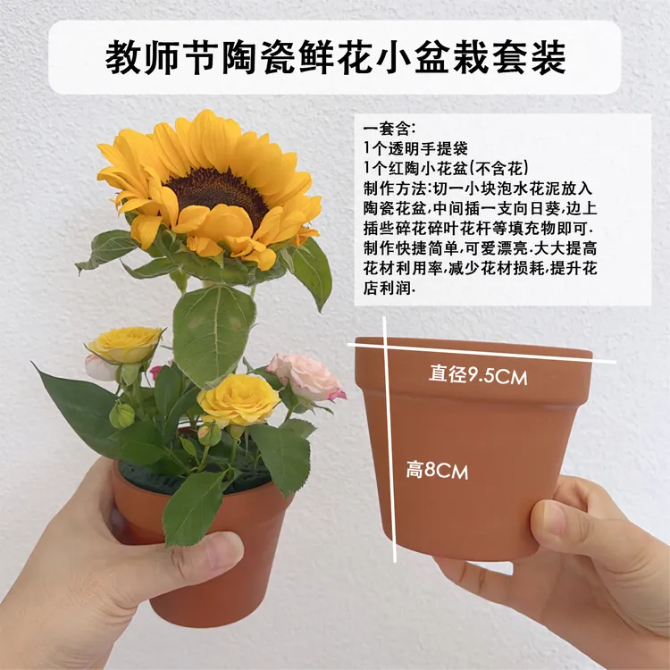 教师节迷你陶瓷花艺小花盆,感谢栽培小盆栽陶瓷花盆,包邮