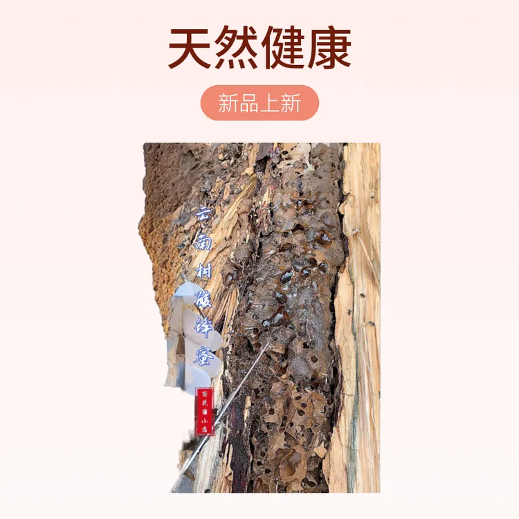 云南德宏大山里的树酸蜜，净重量500克