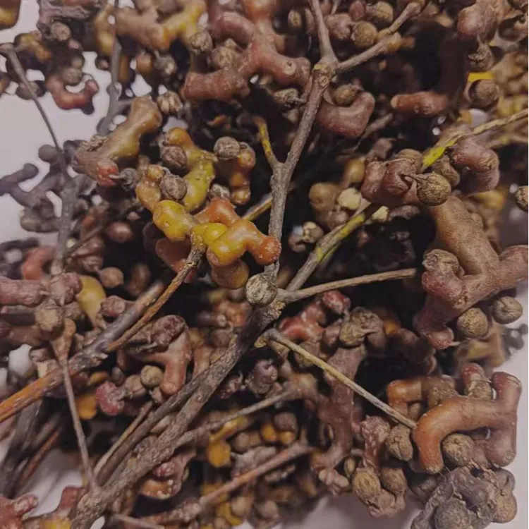 陕西野生水果拐枣新鲜万寿果现摘现发新鲜拐枣新鲜万寿果泡酒