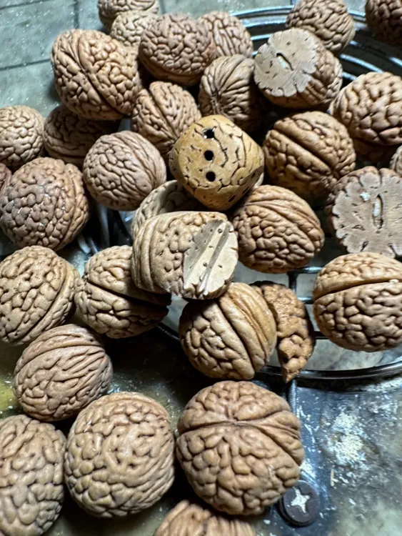 毛桃核雕刻料，脑纹桃核一斤。牙机