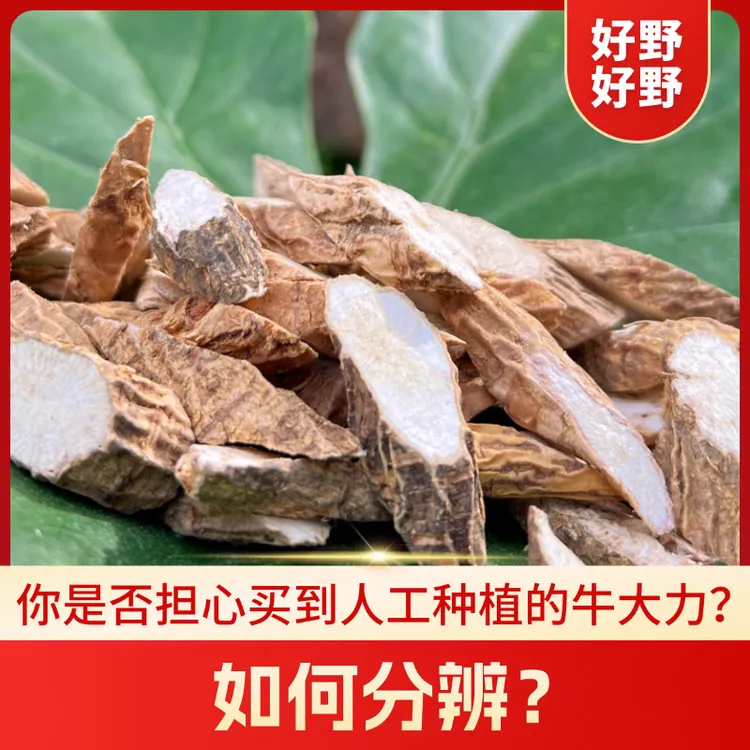 广西野挖牛大力根茎食品新鲜晒干黑牛甘草牛小叶牛