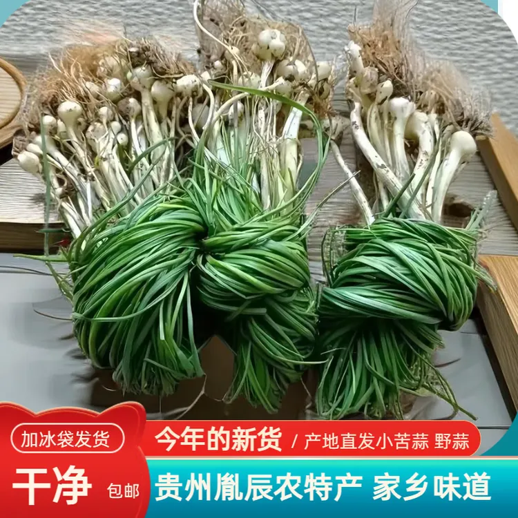 贵州农家纯野生小野葱绿色多种鲜嫩爽口鲜美产品自然挑选营养绿色