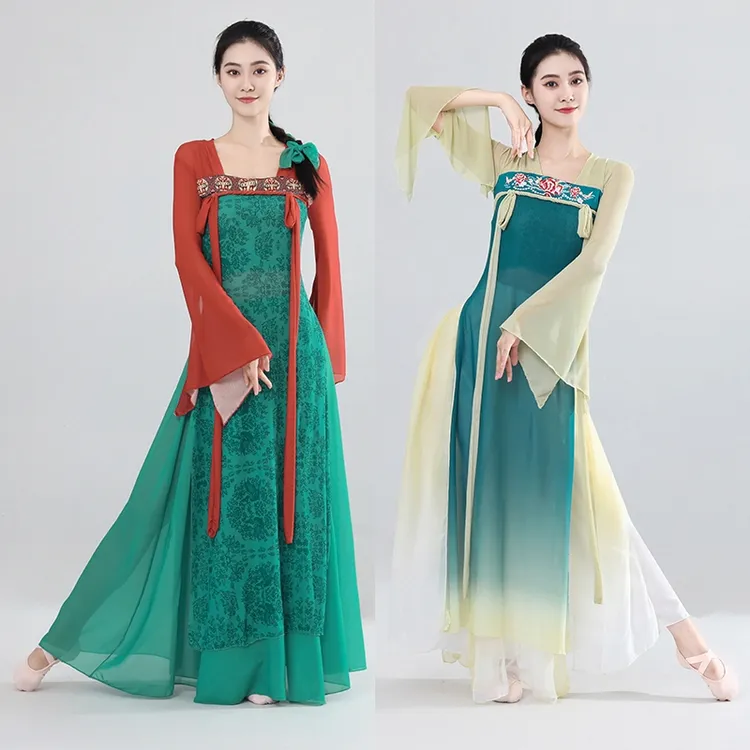 古典舞蹈服女飘带印花汉唐齐胸长款纱衣练功服飘逸大摆裙走秀演出