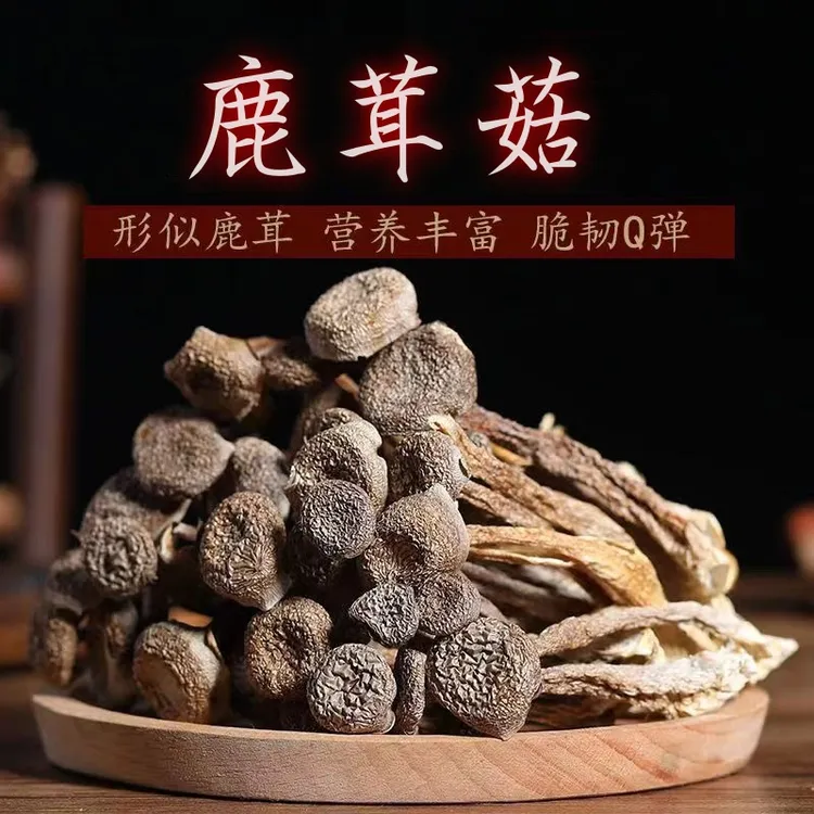 【鹿茸菇】干货无硫脆脆菇孩子菇荤素菇老少皆宜炖汤鲜香净重包邮