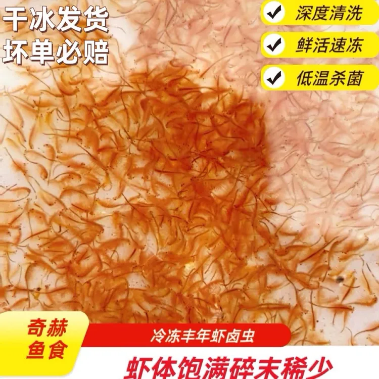 冷冻精选丰年虾幼虫喂鱼成虫卤虫七彩观赏鱼鱼食幼鱼鱼食鲜活速冻