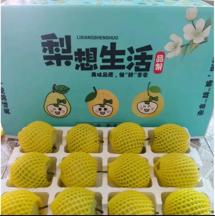 【正宗砀山酥梨 精品礼盒】2025 砀山酥梨新鲜水果多汁砀山梨