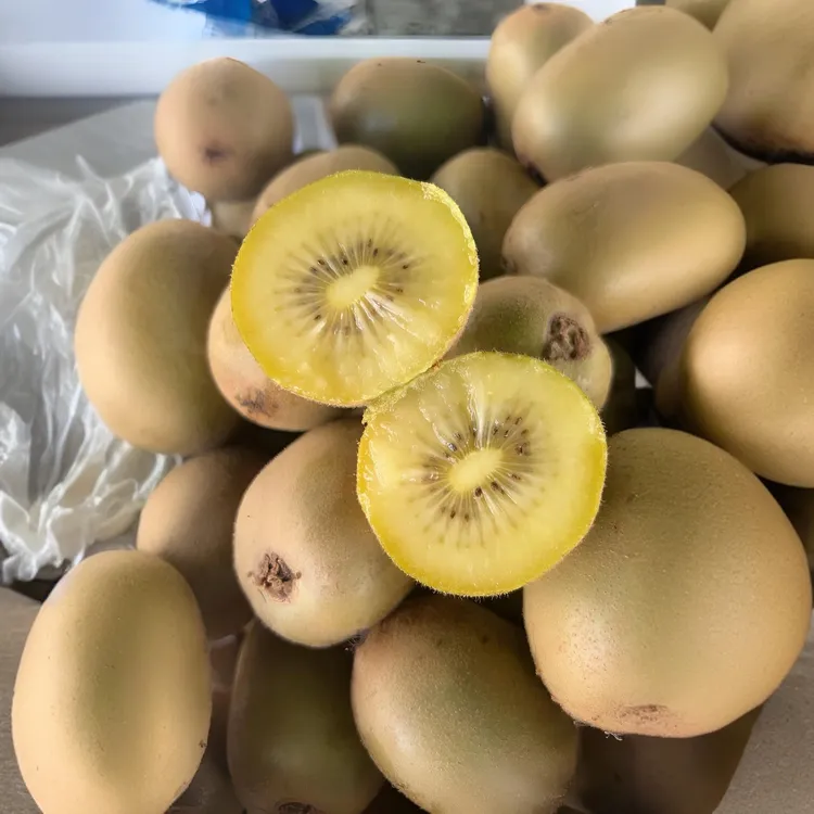 HFkiwifruit上海本地黄金果猕猴桃现采现发16粒150g精选