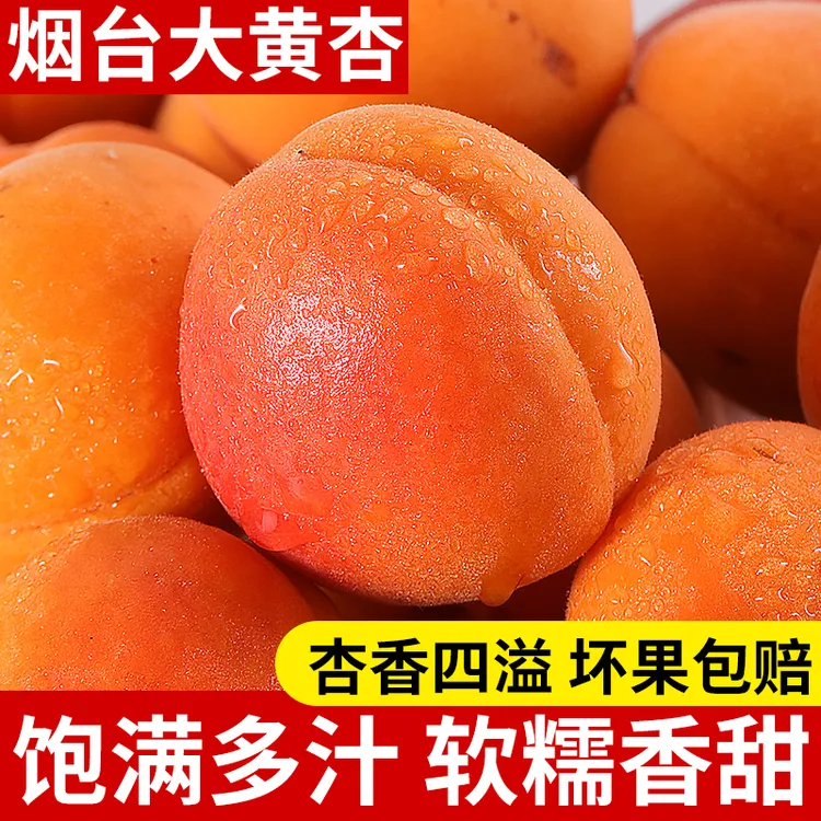 黄杏水果新鲜当季烟台大黄杏金太阳整箱爆汁产地发货