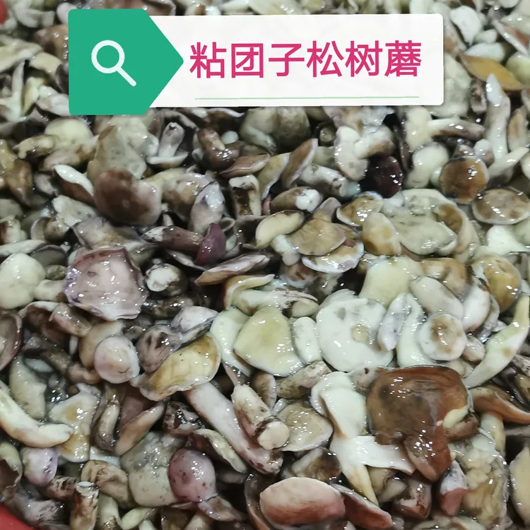 《粘团子蘑菇纯野生》，焯好水咸蘑菇泡淡以后在炒吃